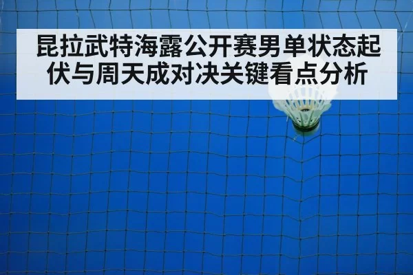 badminton net play